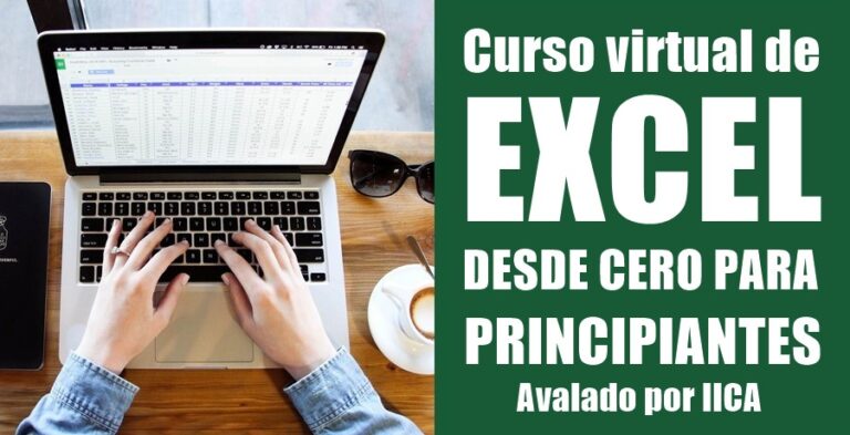 Excel Virtual Curso virtual de Excel desde cero para principiantes, vía IICA